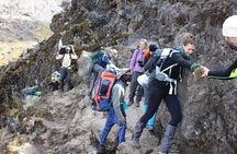 Private Day Tour Kilimanjaro Hike 