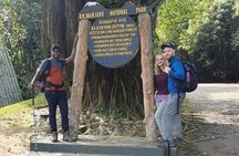 Private Day Tour Kilimanjaro Hike 