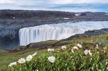 Dettifoss and Goðafoss Waterfall Small Group from Akureyri Port
