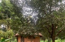 Abuja City Tour–Explore Nigeria’s History, Art,Culture &Landmarks