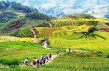 From Hanoi: 2-Day Sapa Trek with Homestay & Scenic Villages