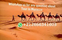 Overnight From Erfoud to Erg Chebbi Merzouga with Camel Ride