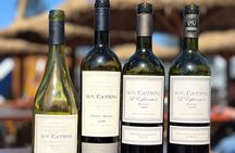 Wine & music experience by D.V. Catena con tabla de fiambres