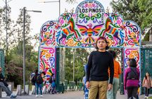Discover Mexico City's Heart and Lung From Above (Cable Car Ride)