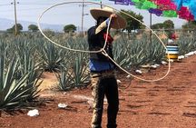 Classic Tequila Tour and CANTARITOS EL GÜERO