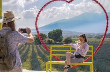 Classic Tequila Tour and CANTARITOS EL GÜERO