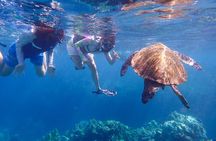  Private Kayak & Snorkel Tour (7am-10am)