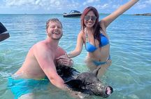 Half Day Pigs Turtles Reef and Ship Wreck Snorkeling 