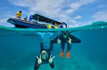 Cairns Half Day Tour a Great Barrier Reef Snorkeling Experience