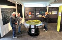 Auckland City Top Spots Half Day Tour(Small Group Tour)