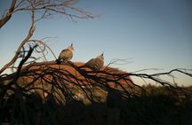 Uluru Overnight Escape