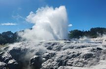 Auckland : Hobbiton & Te puia & red wood forest Private Tour