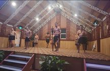 Auckland : Hobbiton & Te puia & red wood forest Private Tour