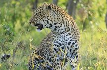 3 day Maasai Mara Small Group Safari in a 4 x4 Land Cruiser Jeep