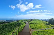 Auckland Hidden Gem Half Day Tour