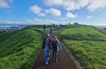 2025 Award Winning: Auckland City Highlights Half Day Tour