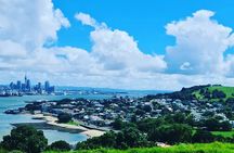 Private Auckland Highlight Day Tour