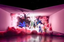 Arte Museum Dubai Admission Pass