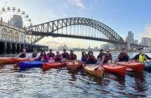 Sunrise Paddle Session on Syndey Harbour (single kayak)