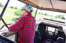 Nairobi National Park Private Safari in a 4X4 Landcruiser Jeep