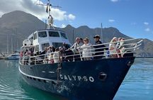 Full Day Cape Peninsula tour from Cape Town