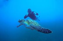 Snorkelling Trip 5 Island Tour Around Koh Tao and Koh Nang yuan