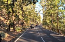 Buggy Tour Volcano Teide in Teide National Park