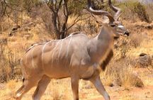 3 Days Samburu National Reserve Private Safari from Nairobi