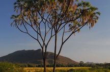 3 Days Samburu National Reserve Private Safari from Nairobi