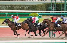 Horse Racing Tour with Local Fans in Tokyo（with Ticket）