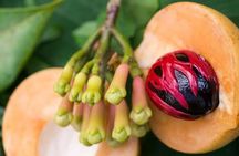 Zanzibar Stone Town, Prison Island & Spice Tour
