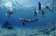 Hamata & Qulaan Islands Snorkeling Trip with Lunch - Marsa Alam