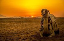 Super Safari Quads-Camel Ride-Bedouin Dinner and Shows From Sharm