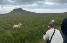Reykjanes Peninsula Private Tour