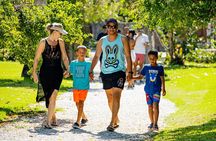 Art And Forest Way Half Day Tour