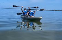 Space Coast Manatee & Coastal Wildlife Kayak Tour