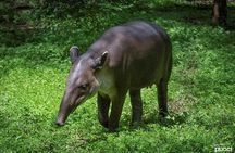 Liberia City Tour- Animal Sanctuary-Waterfall