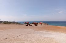 Highlight of Tangier Tour