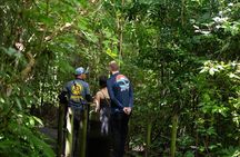 From San José: Carara National Park and Tárcoles River Tour