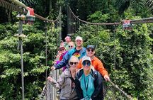 Half-Day Tour with Hanging Bridges and La Fortuna Waterfall