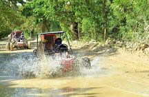 Buggy Tour in Punta Cana with Private Trail & Macao Beach Visit