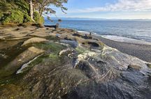 West Coast Big Tree Beach and Waterfall Adventure