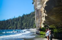 West Coast Big Tree Beach and Waterfall Adventure