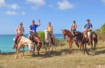 Horseback Riding Experience From Punta Cana with Hotel Pick Up