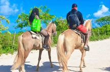 Horseback Riding Experience From Punta Cana with Hotel Pick Up