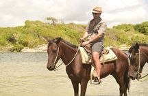 Horseback Riding Experience From Punta Cana with Hotel Pick Up