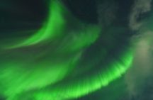 Tromsø: Northern Light tour with free complimentary photos.