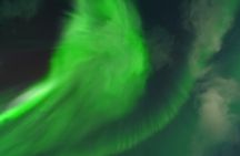 Tromsø: Northern Light tour with free complimentary photos.