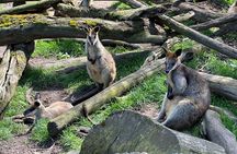 Hahndorf and Hills Wildlife Wonders