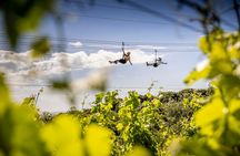 Waiheke Island Day Tour: Ziplining, Wine Tasting & Vineyard Lunch
